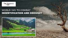 World Day to Combat Desertification and Drought an in-Depth Analysis of the Challenges and Solutions