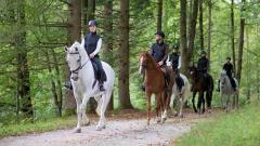 The Riding Instructor: Expert Guidance for Equestrian Mastery
