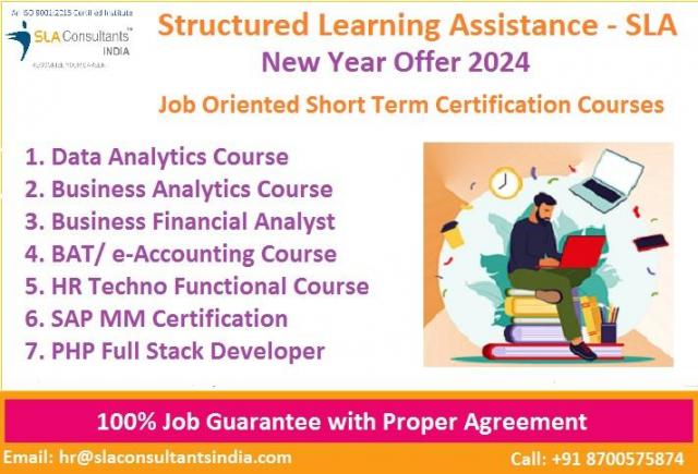 Colleges offering Data Analytics Courses in Delhi/NCR by Structured Learning Assistance [2024]