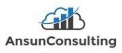 Best IT Outsourcing Services in USA at Ansun Consulting to Outsource Business