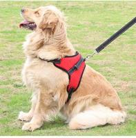 Harness Happiness: The Best Picks for Your Canine Companion