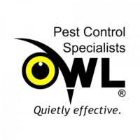 Owl Pest Control: Providing the Finest Pest Control Service
