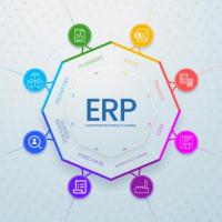 ERP SAP FICO Training Institute in Noida