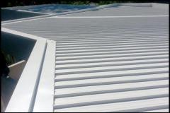 Roofing Excellence in Penrith: Your Trusted Roofer for Quality and Precision