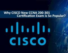 Learn Networking From Home with CCNA Online Training in Pune