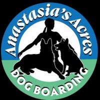 Anastasia's Acres Dog Boarding: Where Pets Thrive and Play