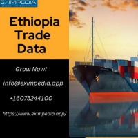 ethiopia Trade Data