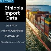 ethiopia Import Data