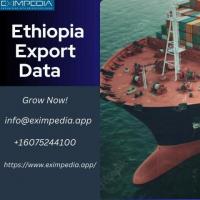 ethiopia Export Data