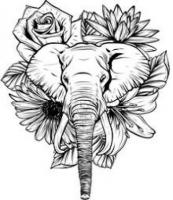 Majestic Marvel: White Elephant Tattoos