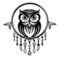 Wisdom in Ink: Dreamcatcher Owl Tattoos