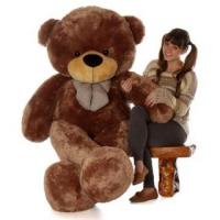Buy Our Best Teddy Bear Online at Giant Teddy