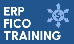 ERP SAP FICO Training in Noida