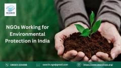 Best NGOs Working for Environmental Protection in India