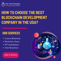  How to Choose the Best Blockchain Development Company in the USA?