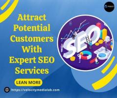 Attract Potential Customers With Expert SEO Services