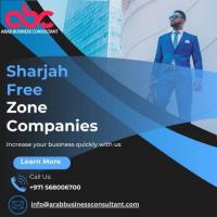 Strategic Growth Partner: Elevating Sharjah Free Zone Companies Success