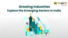 Growing Industries in India: Explore the Future Growth Sectors and Future Opportunities