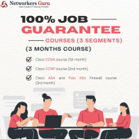 Networkers Guru Offer 100% job Guarantee Program 