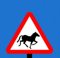 Signage For Horse	 