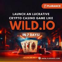 Launch an exciting casino gaming platform with Wild io Clone