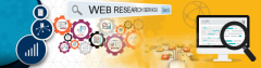 Outsourcing Web Research Services Company in India