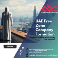 UAE Free Zone Expert: Arab Business Formation Consultant