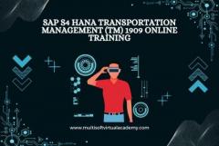 SAP S4 HANA Transportation Management (TM) 1909 Online Training