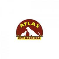 Cost of Microchip for Dogs - Atlas Pet Hospital