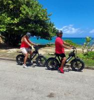 Unveiling Aruba's Wonders: Electric Bike Rentals for Sustainable Adventures