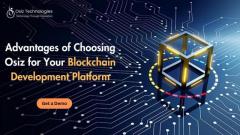 Advantages of Choosing Osiz for Your Blockchain Development Platform 