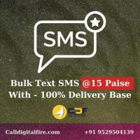 11.	Empower Your Business with Targeted Bulk SMS Marketing Services in Kolkata