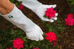 FIR Tree LLC: Your Trusted Source for Premium Leather Gardening Gloves