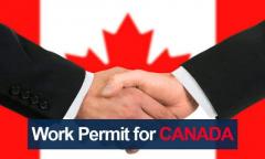 Unlock Opportunities with Open Work Permit LMIA: Your Gateway to Canadian Employment