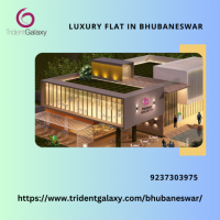 Luxury Flat in Bhubaneswar