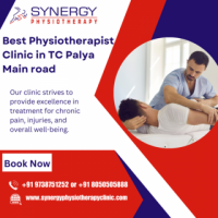 Best Physiotherapist Clinic in TC Palya Main road