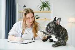 Pet Wellness Exams at Atlas Pet Hospital