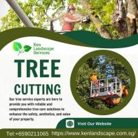 Tree Cutting Singapore | Ken Landscape Services 