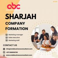 Strategic Arab Business Consultant for Sharjah Company Formation