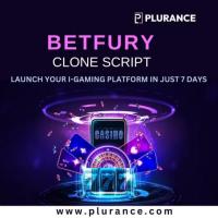 Build Your Own Gambling Empire with Our Betfury Clone Script