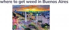 Where to Get Weed in Buenos Aires