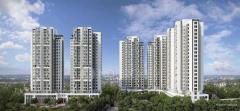 Discover Luxury Living: DLF Privana, Sector 77, Gurgaon