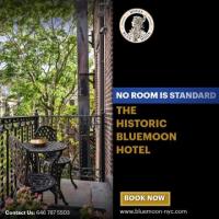 Timeless Elegance: Blue Moon Hotel in NYC