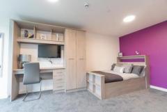Luxurious Haven for Scholars: Private Student Accommodation in Kingston!