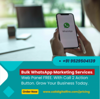 WhatsApp Wonders: Transform Your Business with Our Marketing Agency in Kolkata