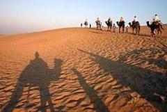 Royal Odyssey: Rajasthan Tour Packages Unveiled