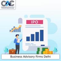 IPO Support Consultant in Delhi