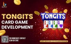 Develop Online App for Tongits Card Game