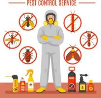 If you are looking for Pest Control in Strawberry Hill