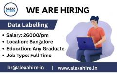 Data Labelling Jobs in Bangalore | Best Opportunity 2024